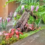 Panoramica - Giardino Privato Сasa de vacaciones