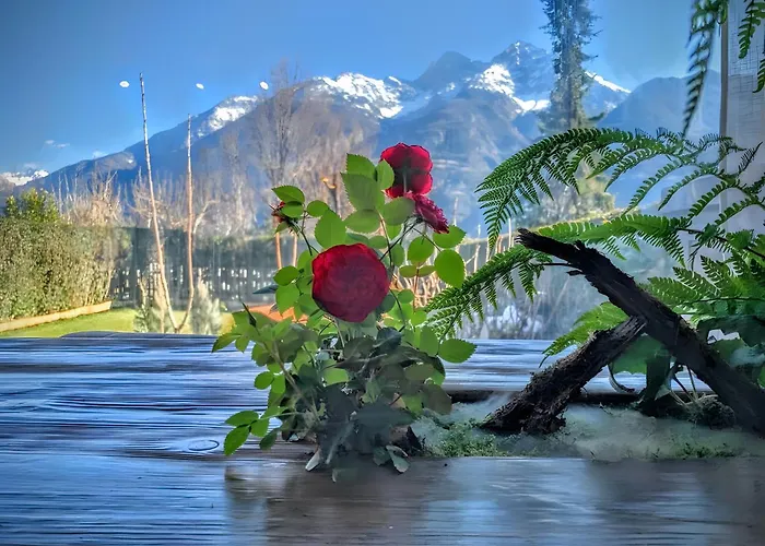 펜션 Panoramica - Giardino Privato 아오스타