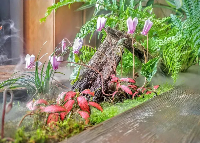 Panoramica - Giardino Privato 펜션