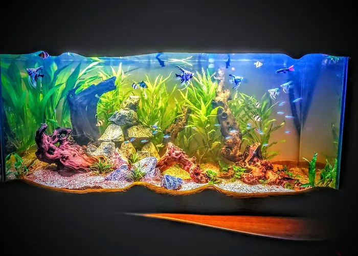 Panoramica - Giardino Privato * 아오스타